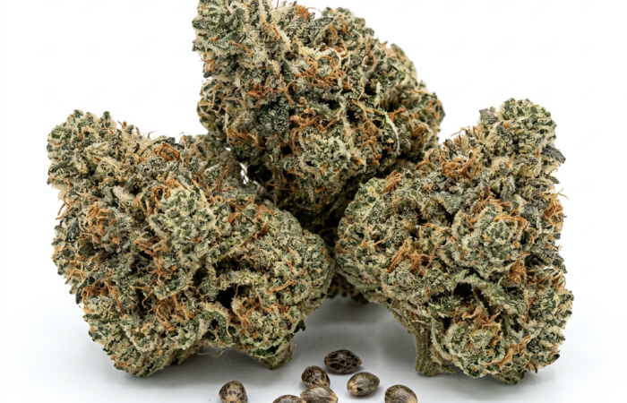 Runtz Muffin cannabis seeds - product photo