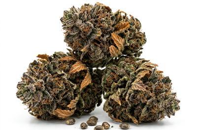 Slurricane cannabis seeds - product photo