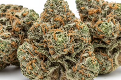 Slurricane cannabis seeds - product photo