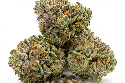 Sour Punch cannabis seeds - product photo