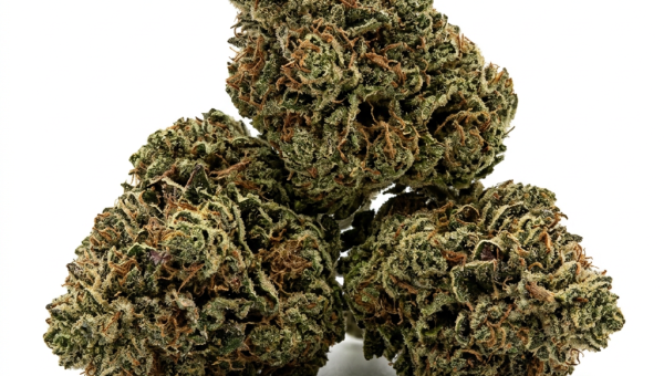 Strawberry Kush cannabis seeds - product photo