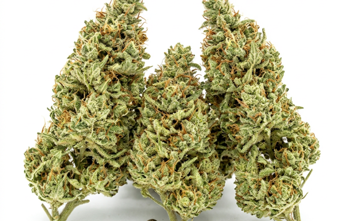 Sweet Cindy cannabis seeds - product photo