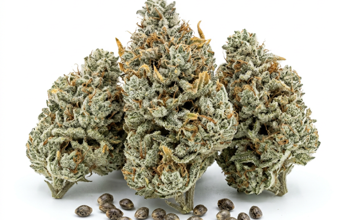 White Widow CBD cannabis seeds - product photo