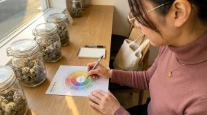 White Widow’s Hybrid Power: A Terpene and Genetic Deep Dive