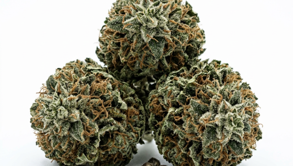 Afghan Kush cannabis seeds - product photo