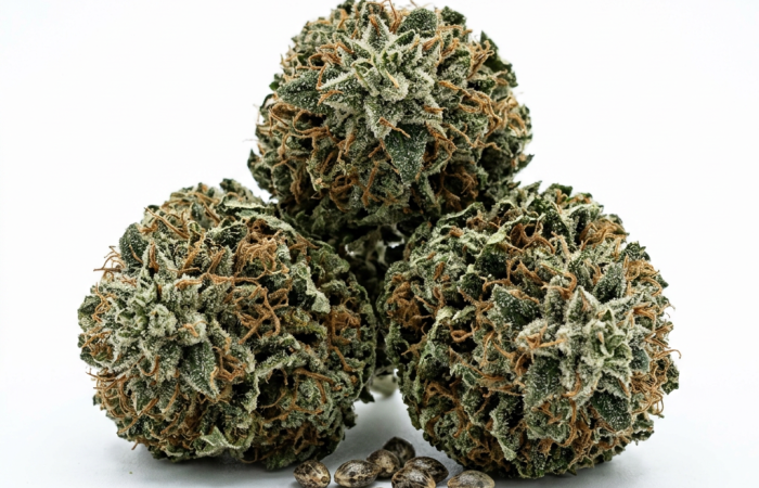 Afghan Kush cannabis seeds - product photo