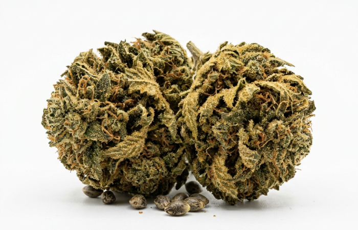 Afghani cannabis seeds - product photo