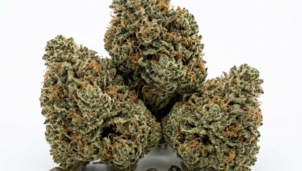 Alien OG cannabis seeds - product photo