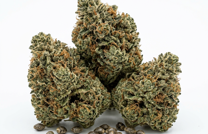 Alien OG cannabis seeds - product photo