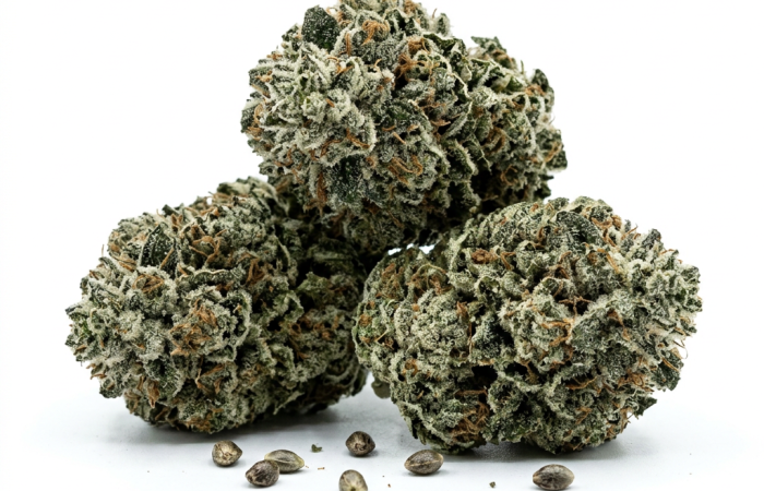 Alien Technology cannabis seeds - product photo