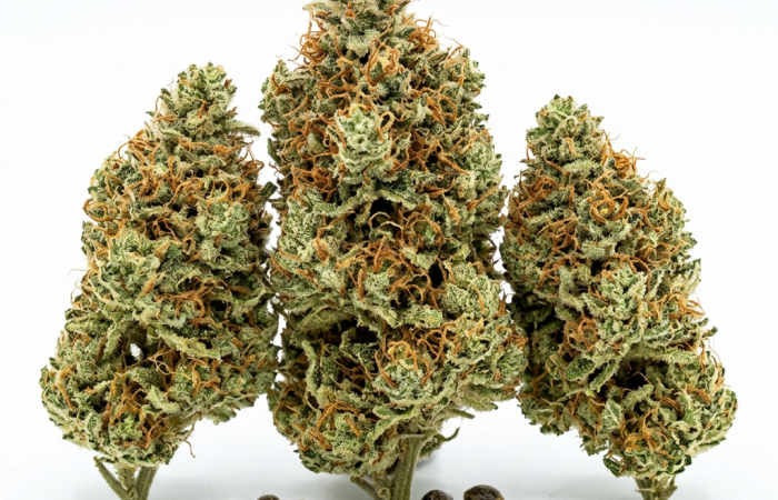 American Haze x California Haze cannabis seeds - product photo