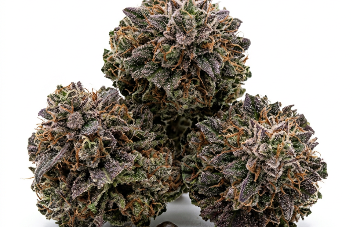 Amnesia Purple cannabis seeds - product photo