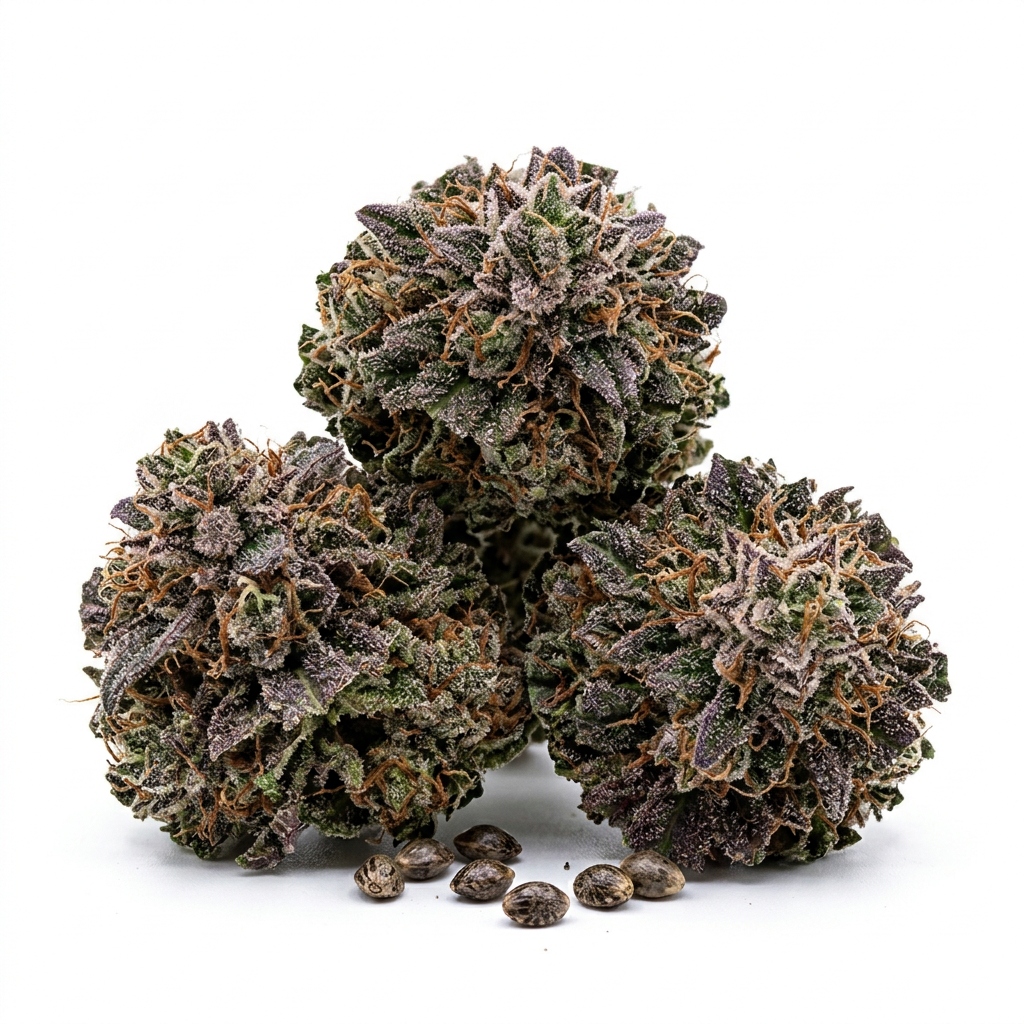 Amnesia Purple cannabis seeds - product photo