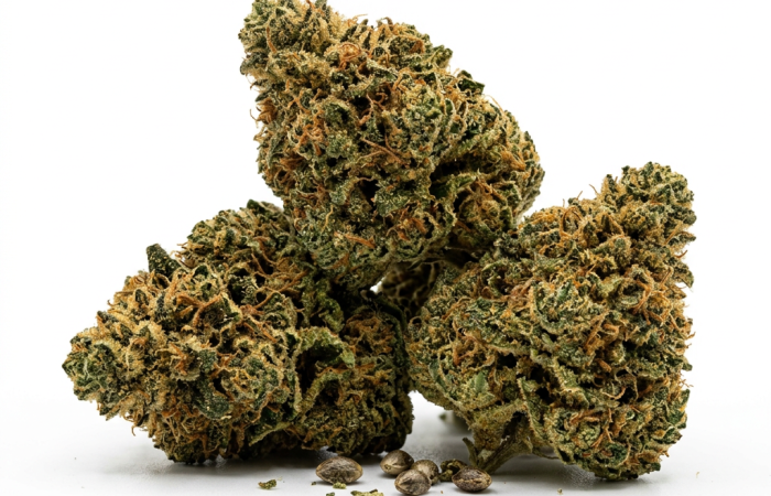 Amnesia x Nicole Kush cannabis seeds - product photo