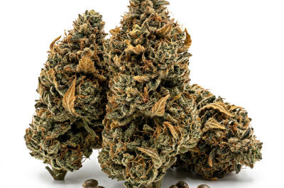 Apple Fritter cannabis seeds - product photo