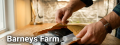 Barneys Farm Review - Score 4.5/10