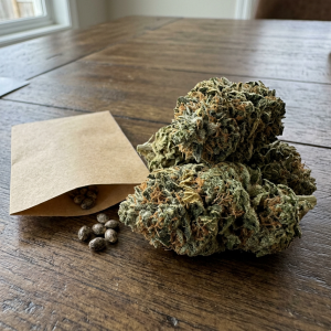 Big Bud Seeds