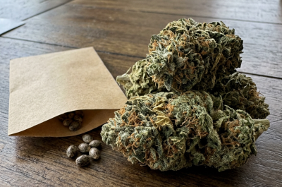 Big Bud cannabis seeds product image