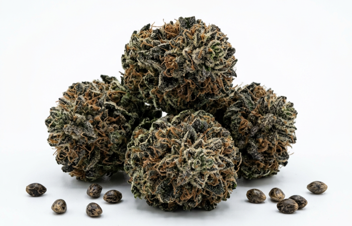 Black Afghan cannabis seeds - product photo