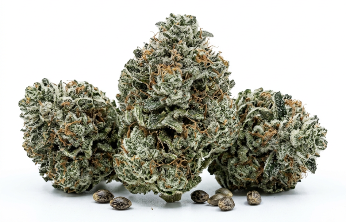 Black Widow cannabis seeds - product photo