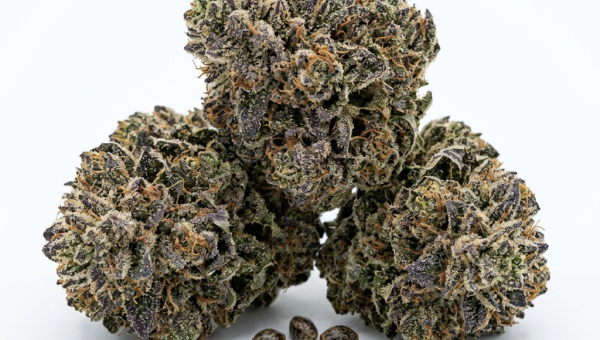 Blueberry cannabis seeds - product photo