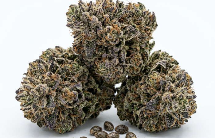 Blueberry cannabis seeds - product photo