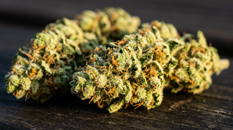 Bruce Banner Gets You There Fast. Real Fast. cannabis seeds review