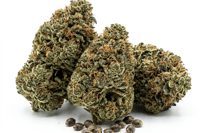 Bubba Kush cannabis seeds - product photo