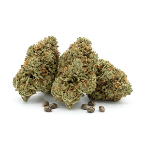 CBD Girl Scout Cookies Seeds
