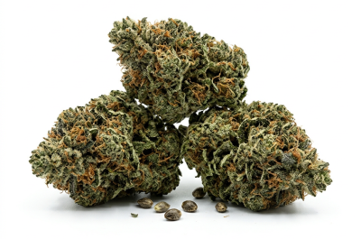 Chemdog cannabis seeds - product photo