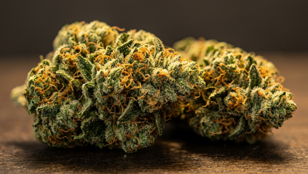 Do-Si-Dos cannabis buds macro close-up