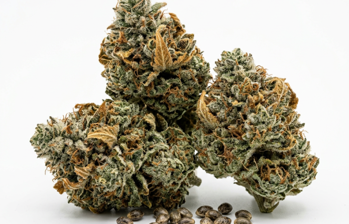 Gelato cannabis seeds - product photo