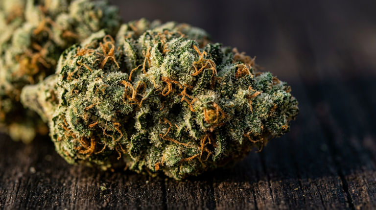 Gelato – That Sweet Treat For Your Senses cannabis seeds review