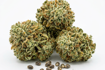 Gelonade cannabis seeds - product photo