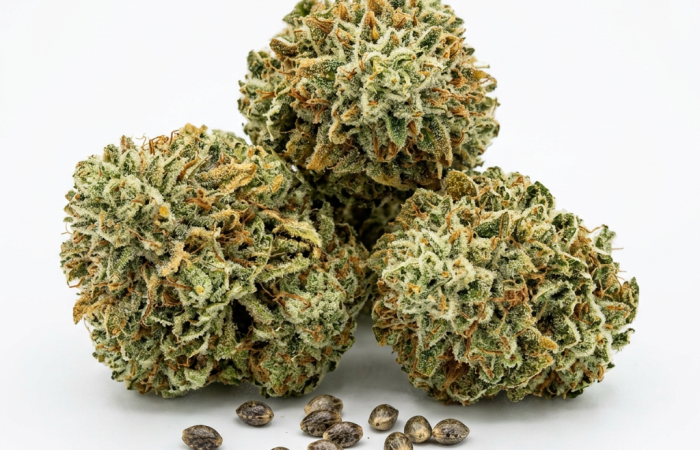 Gelonade cannabis seeds - product photo