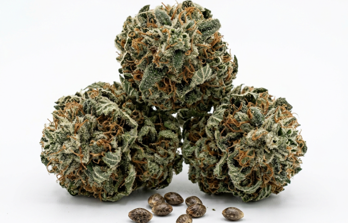 GG4 cannabis seeds product image