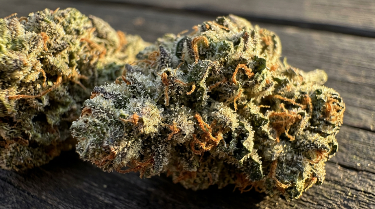 Girl Scout Cookies—that sweet treat that lifts my mood.