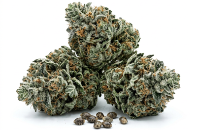 Godfather Og cannabis seeds - product photo