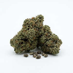 Gorilla Zkittlez Seeds