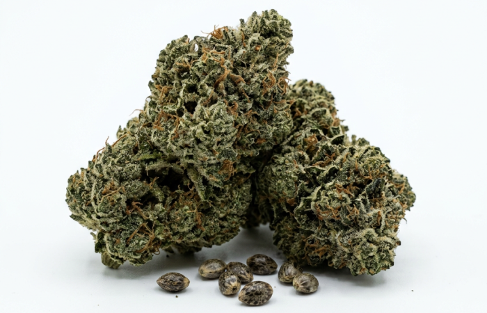 Gorilla Zkittlez cannabis seeds - product photo