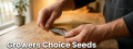 Growers Choice Seeds Review - Score 7.0/10