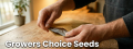 Growers Choice Seeds Review - Score 6.9/10