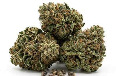 Jealousy cannabis seeds - product photo