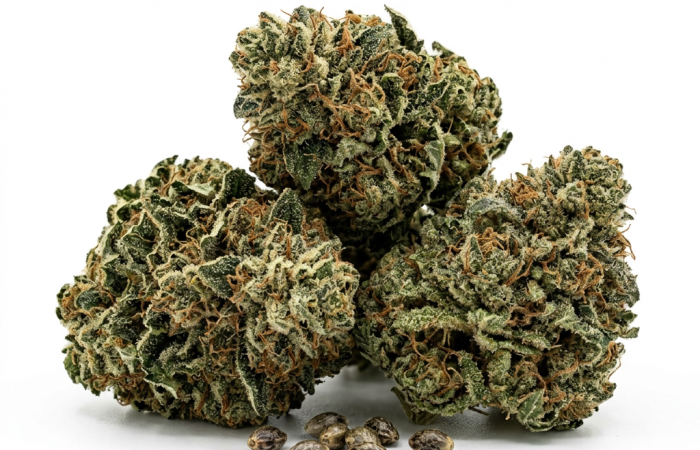 Jealousy cannabis seeds - product photo