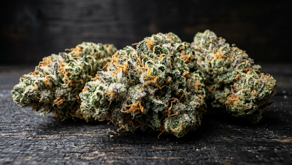 Kush Mints cannabis buds macro close-up