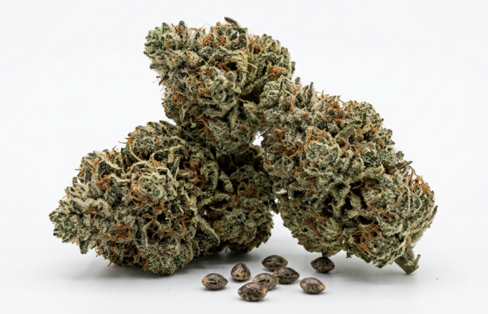 LA Kush Cake cannabis seeds product image