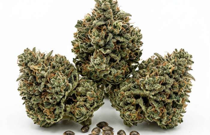 Lowryder cannabis seeds - product photo