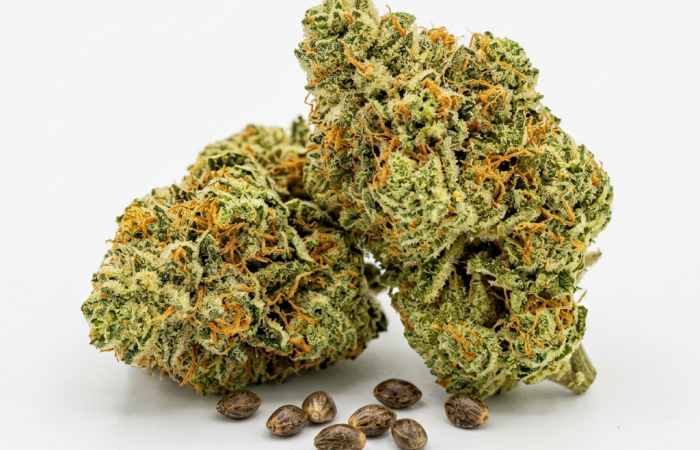 Mimosa cannabis seeds - product photo