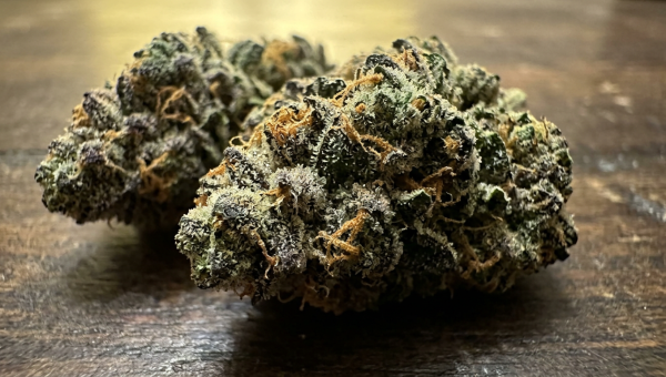 Northern Lights cannabis buds macro close-up