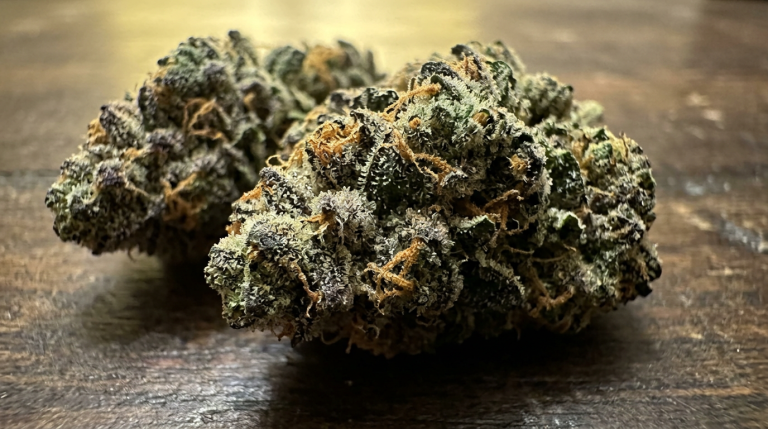 Northern Lights: Pure Relaxation, No Bullshit